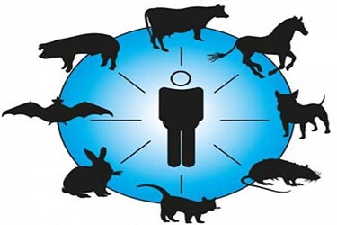 نامه معاون محترم بهداشتی دانشگاه علوم پزشکی قزوین و رییس مرکز بهداشت استان در خصوص ارتقاء آگاهی و مقابله با بیماری های عفونی مشترک بین انسان و حیوان
